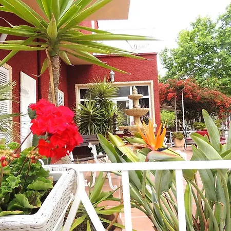 Villa Palmer-2